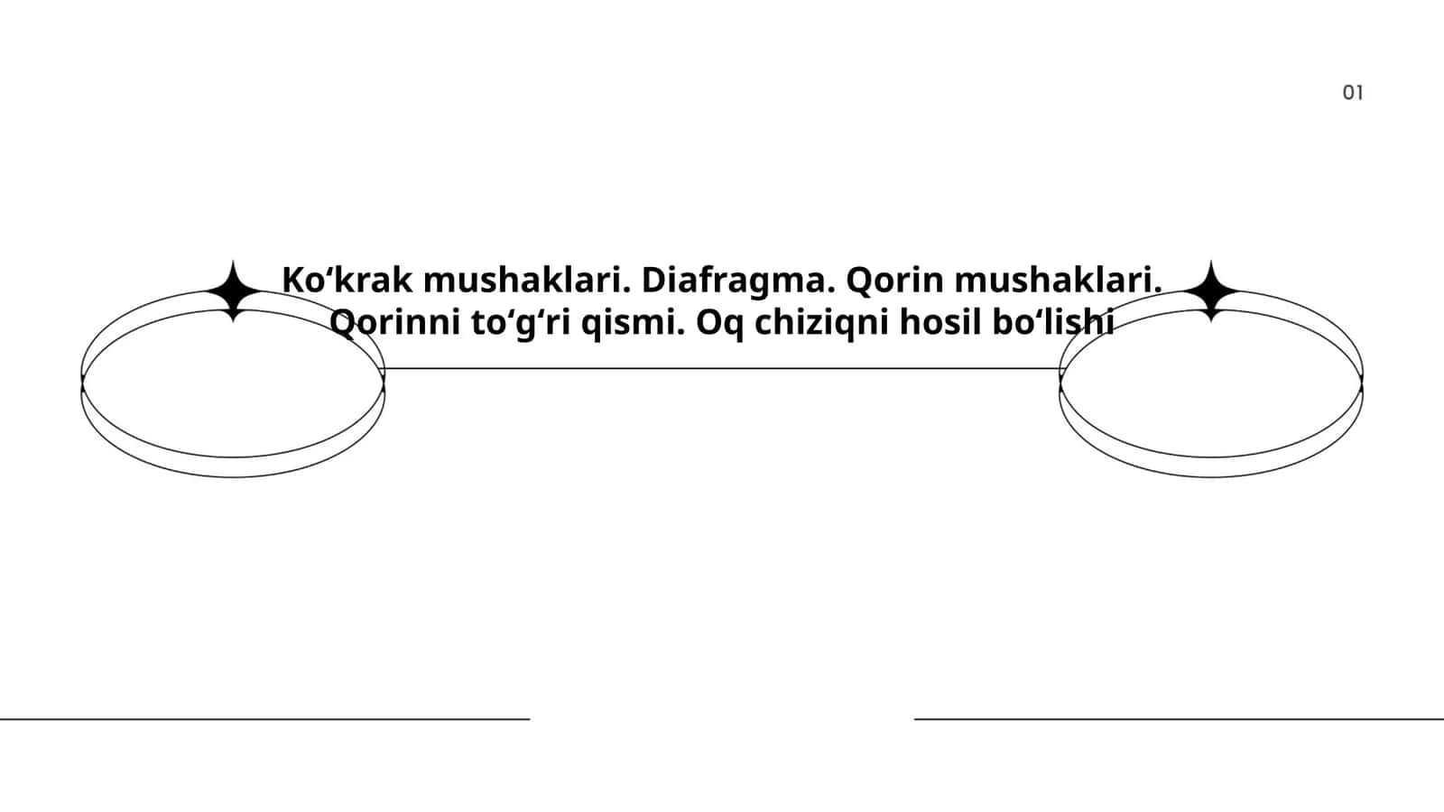 Koʻkrak mushaklari anatomiyasi 1