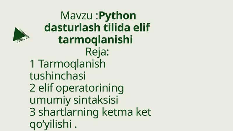 Python dasturlash tilida elif tarmoqlanishi 1