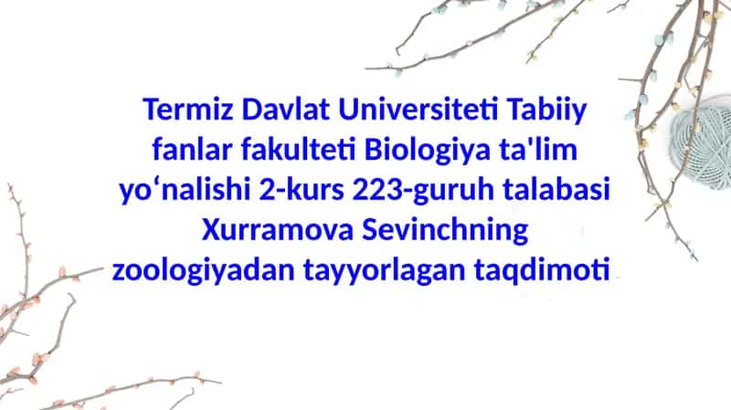 Qilichdumlilar(Xiphosura) sinfibiologiyasi va ekologiyasi 1