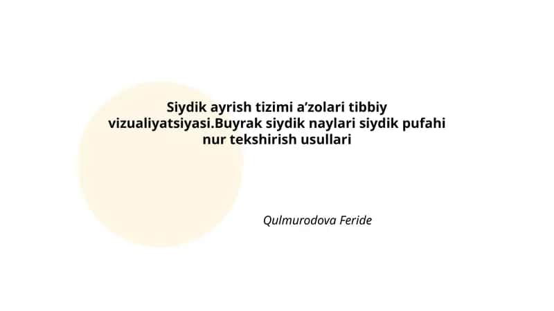 Siydik ayrish tizimi a’zolari tibbiy vizualiyatsiyasi 1