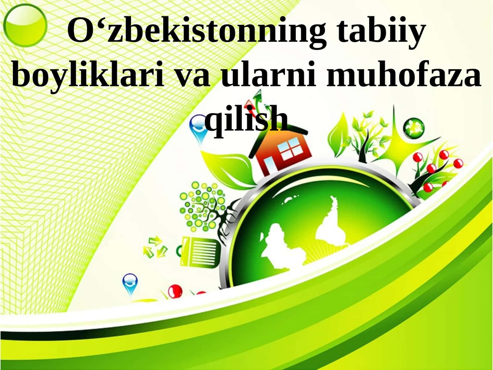O‘zbekistonning tabiiy boyliklari va ularni muhofaza qilish 1