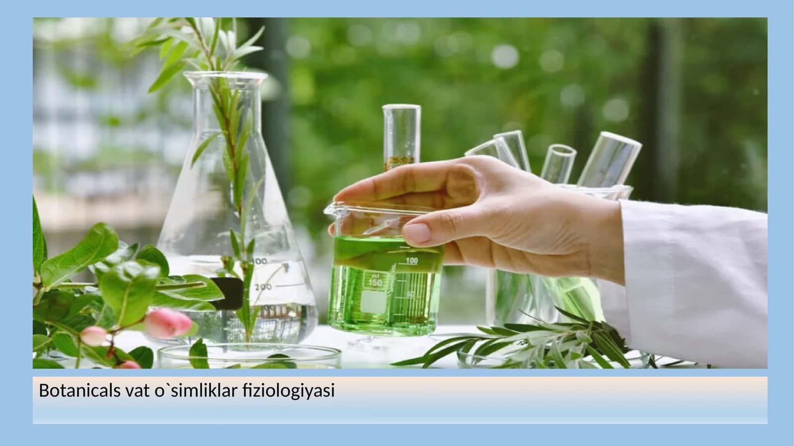 Botanicals vat o`simliklar fiziologiyasi 1
