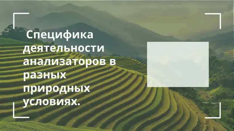 Введение в роль анализаторов 1