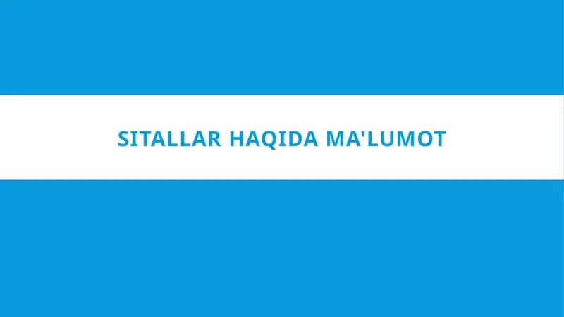 SITALLAR HAQIDA MA LUMOT 1