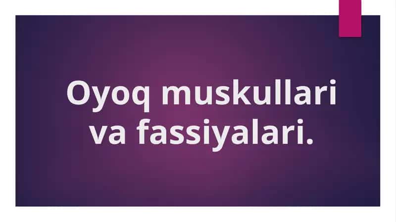 Oyoq muskullari va fassiyalari,Chanoq muskullari,son mushaklari, boldir mushaklari va panja mushaklari. 1