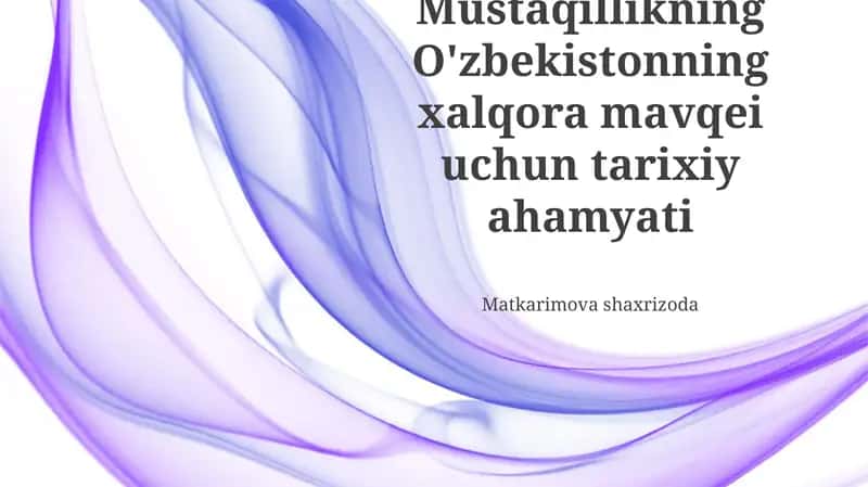 O‘zbekistonning Mustaqilligi: Xalqaro Maydondagi Dastlabki Qadamlar 1