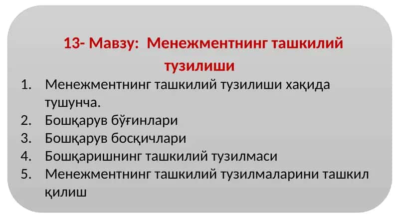 Менежментнинг ташкилий тузилмаси 1
