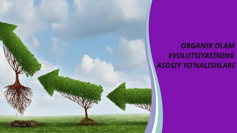 ORGANIK OLAM EVOLUTSIYASINING ASOSIY YO‘NALISHLARI 1