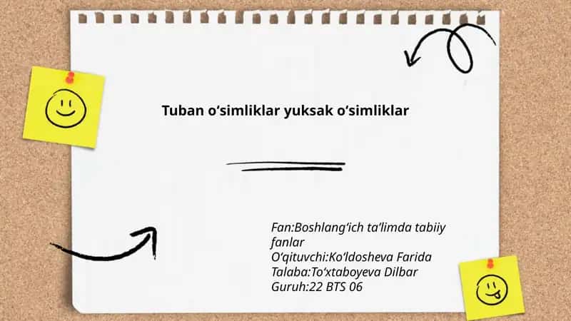 Tuban oʻsimliklar yuksak oʻsimliklar 1