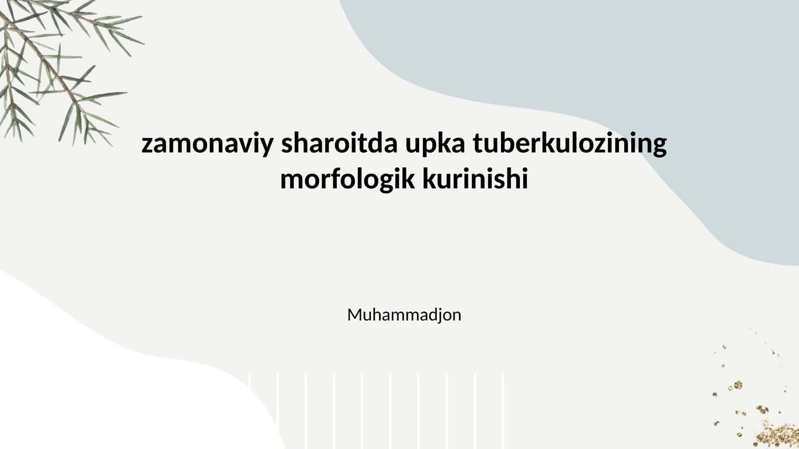 Morfologik upka tuberkulozining kurinishi 1