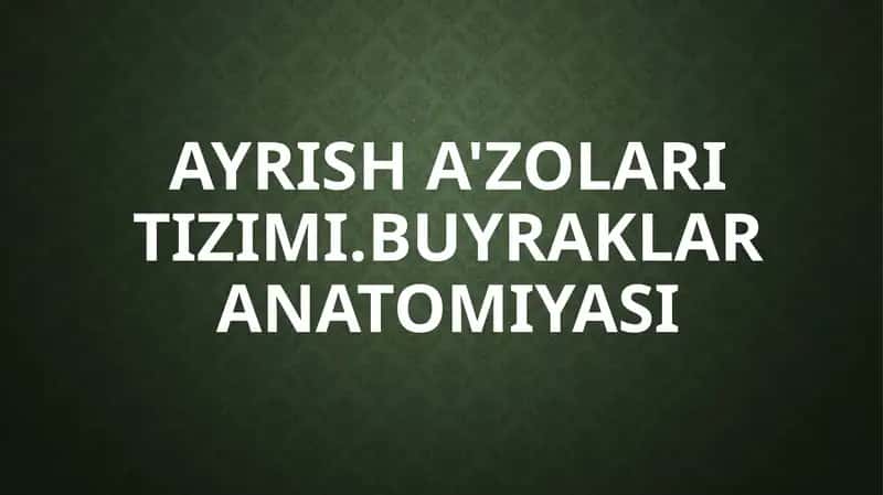 Ayrish a'zolari tizimi. Buyraklar anatomiyasi 1