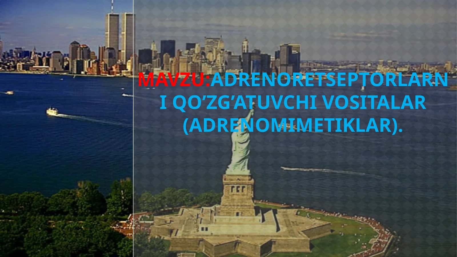 ADRENORETSEPTORLARNI QO’ZG’ATUVCHI VOSITALAR (ADRENOMIMETIKLAR) 1
