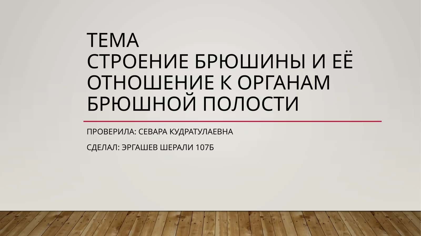 Брюшина (peritoneum) 1