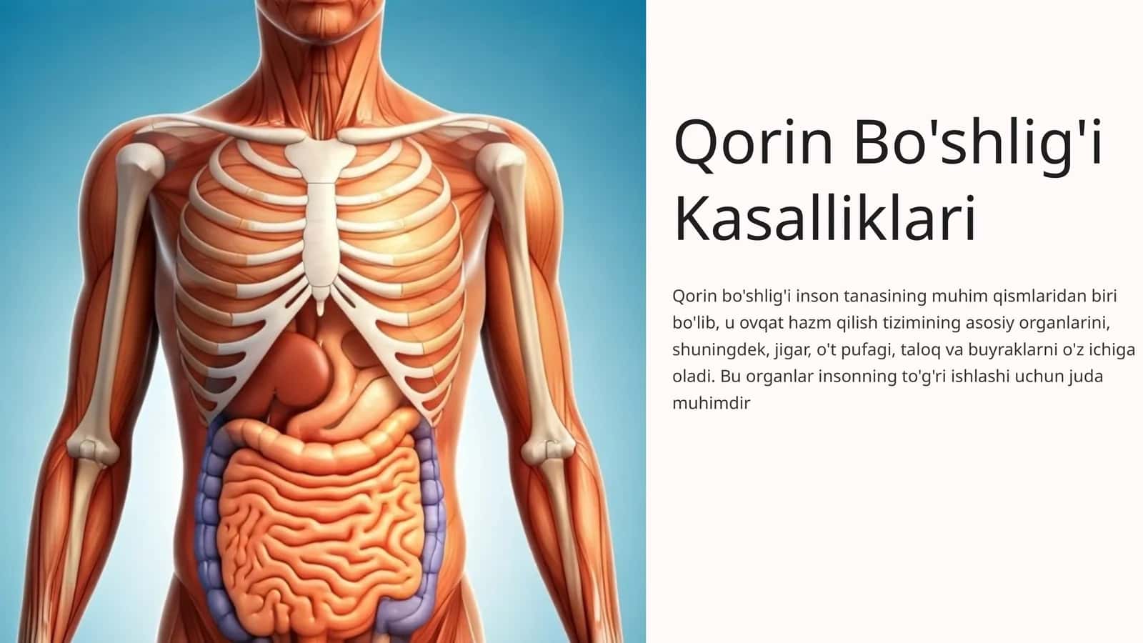 Qorin Bo'shlig'i Kasalliklari 1