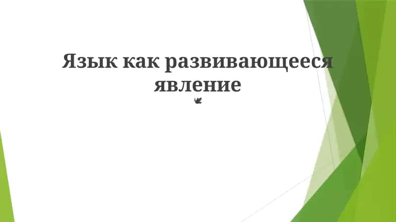 Язык как развивающееся явление 1