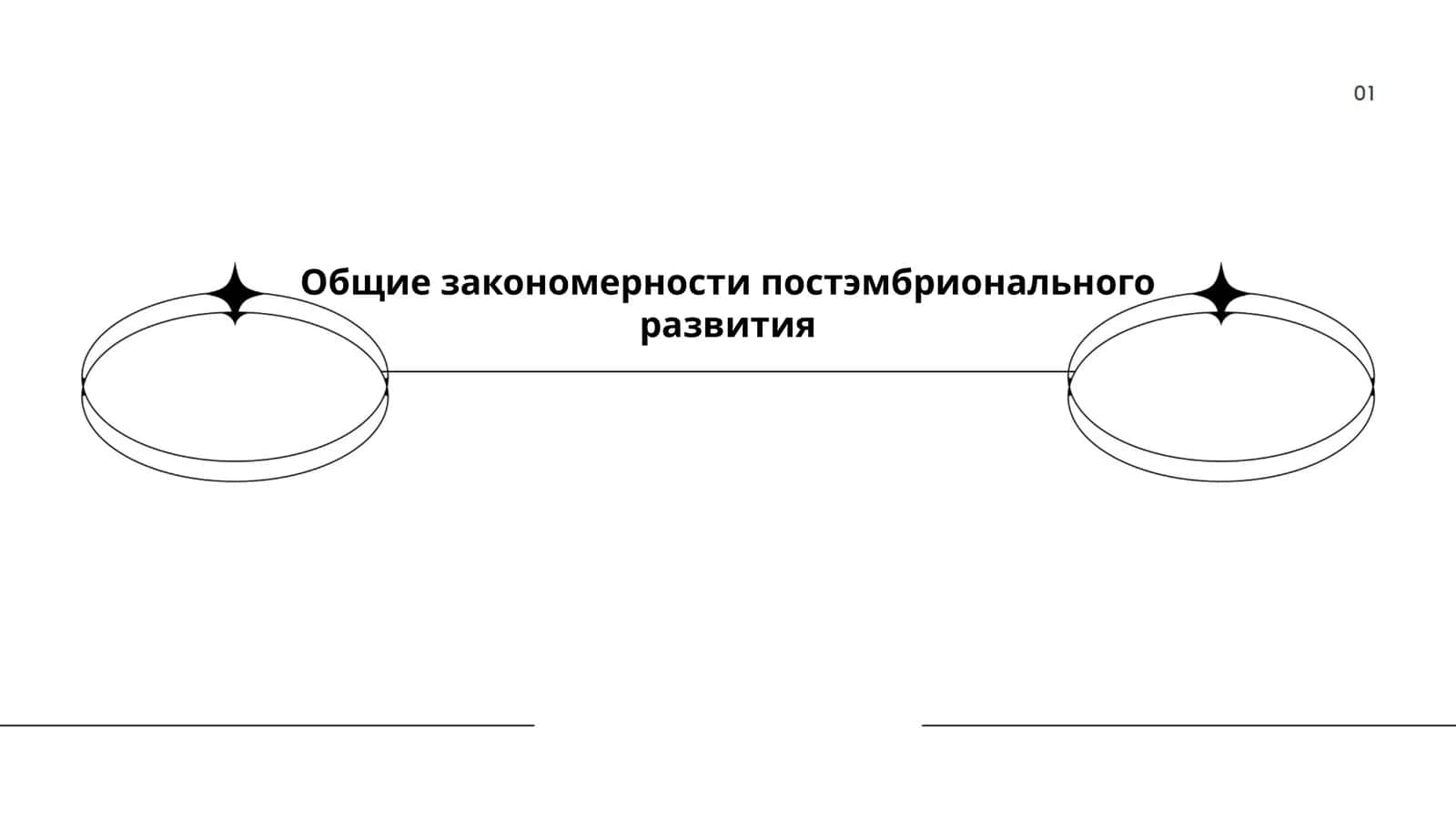 Постэмбрионал ривожланиш босқичлари 1