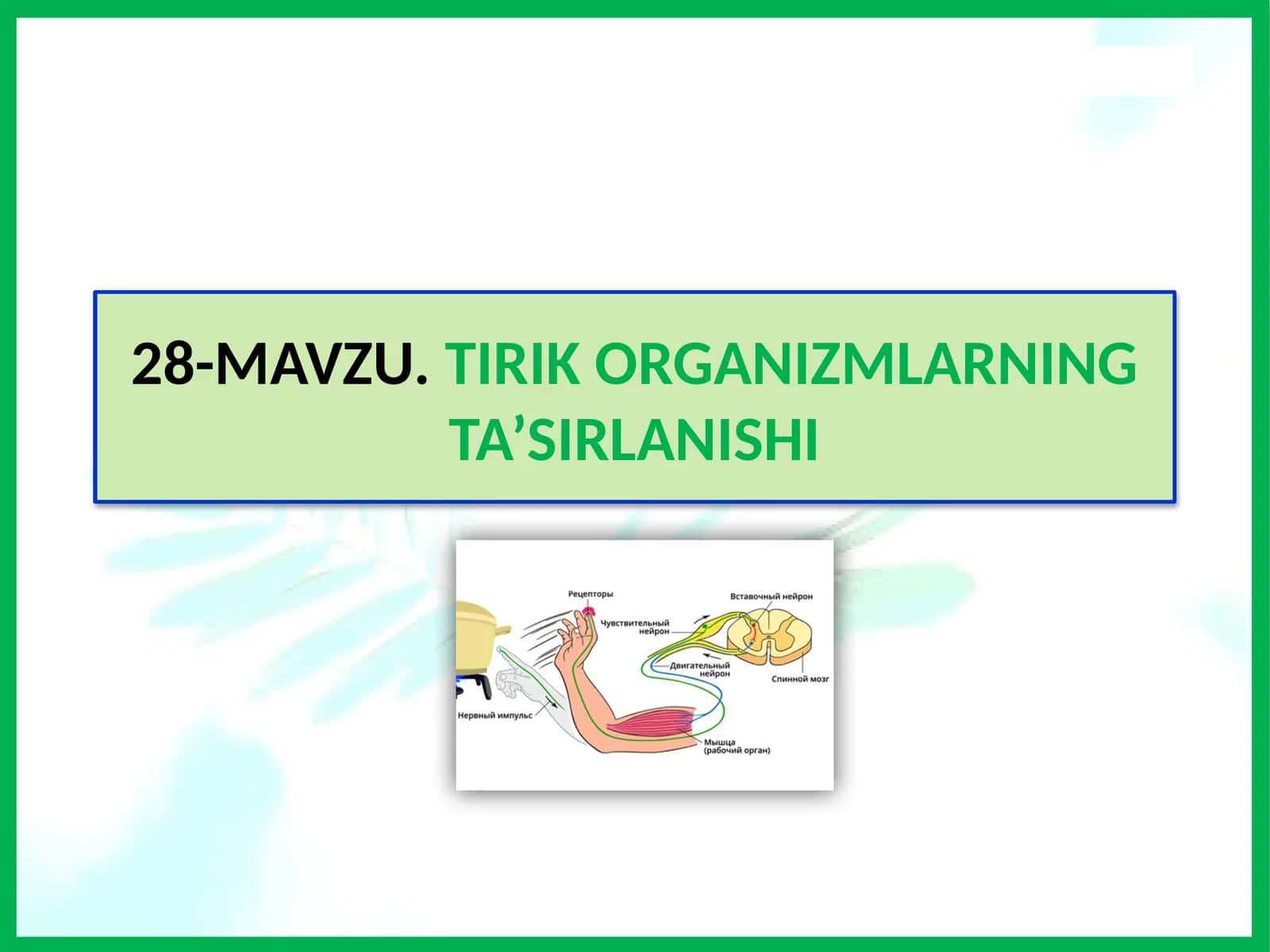 MAVZU.TIRIK ORGANIZMLARNING TA’SIRLANISHI 1