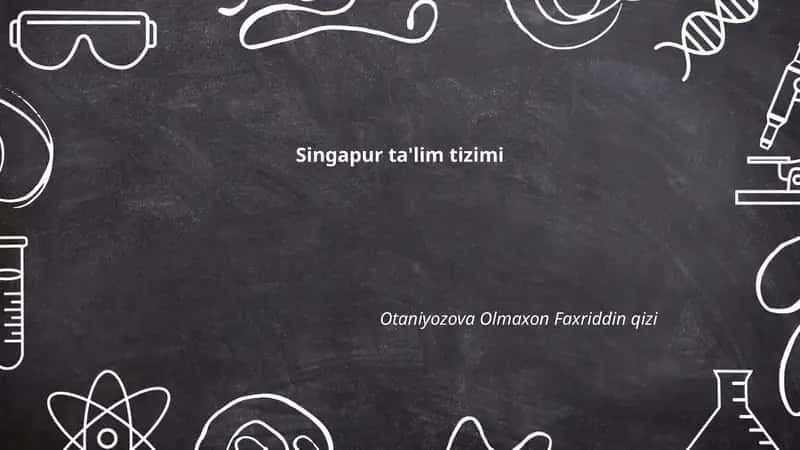 Singapur ta'lim tizimi 1