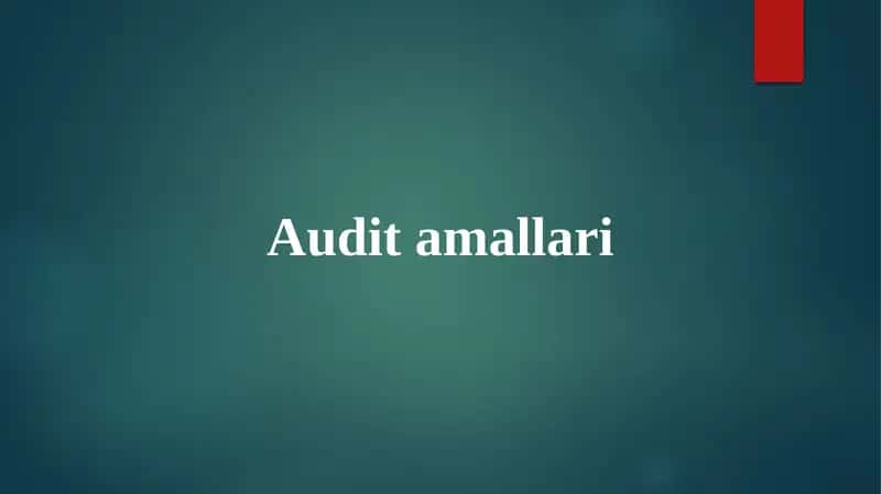 Audit amallari 1