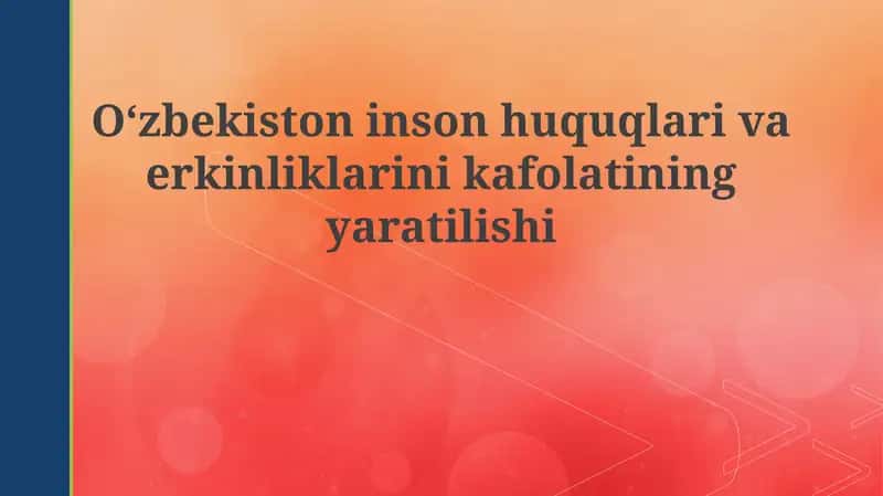 O'zbekistonda inson huquqlari va erkinliklari kafolatlarining yaratilishi 1