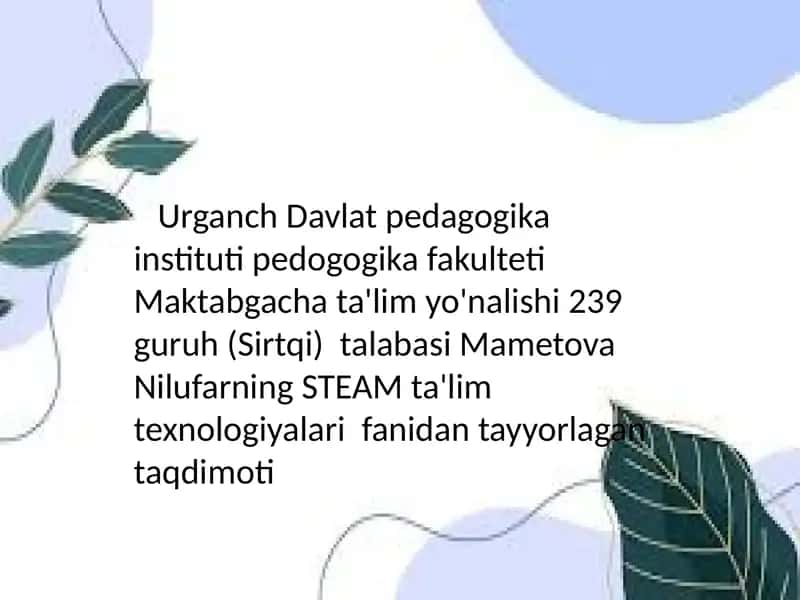 O'zbekistonning STEAM ta'limining rivojlanishi 1