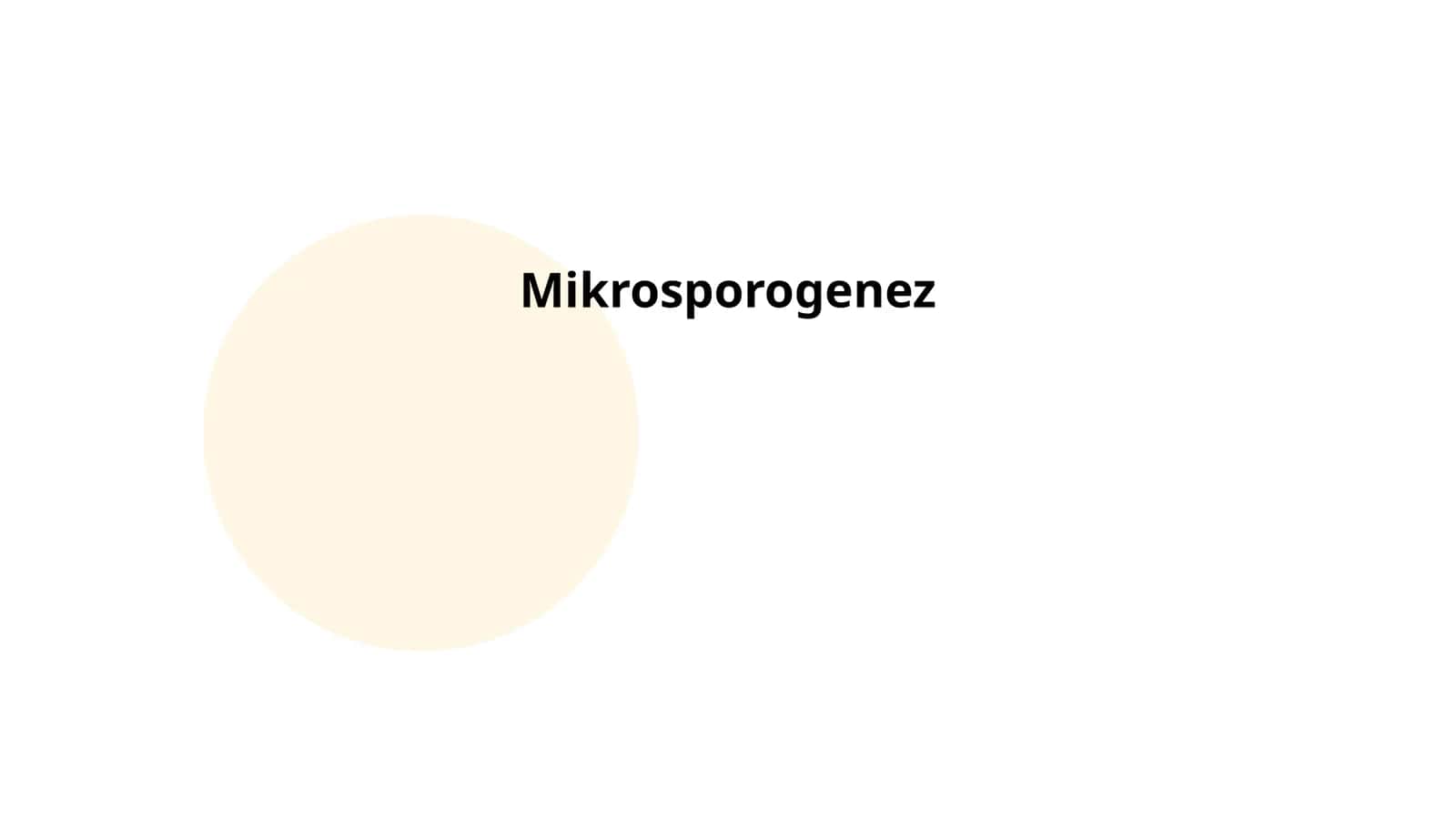 Mikrosporogenez 1
