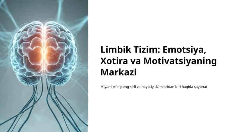 Limbik Tizim: Emotsiya, Xotira va Motivatsiyaning Markazi 1