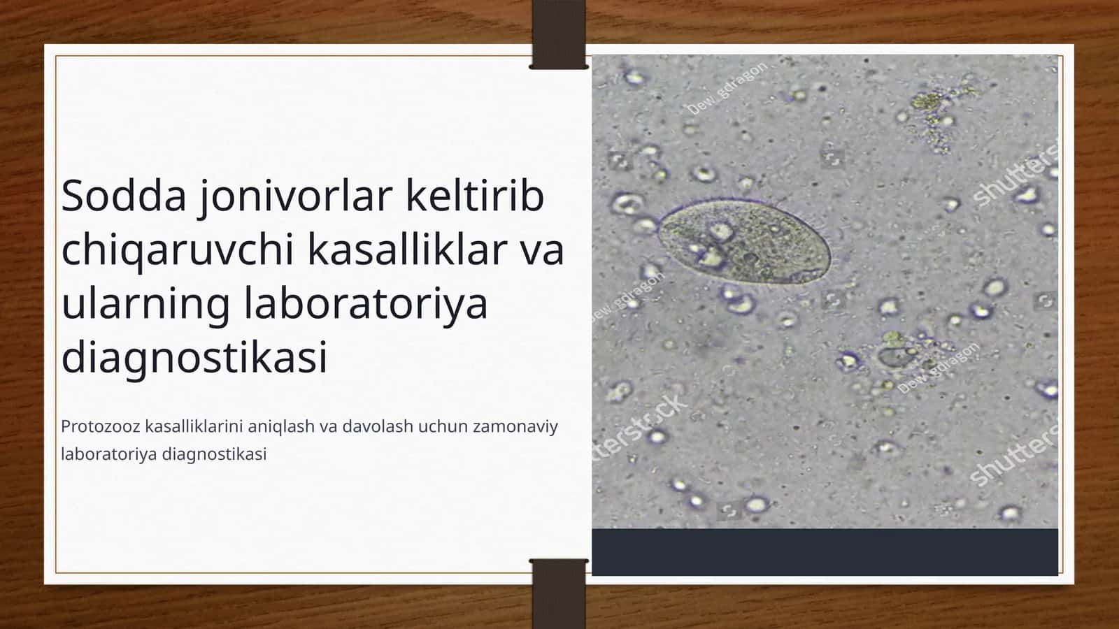 Sodda jonivorlar keltirib chiqaruvchi kasalliklar va ularning laboratoriya diagnostikasi 1
