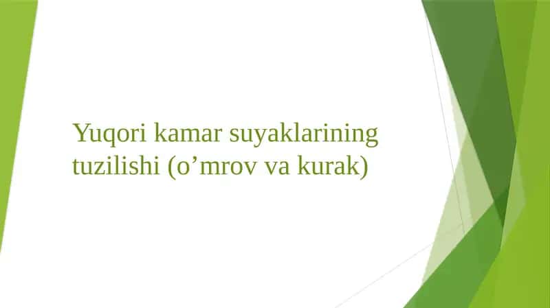 Yuqori kamarsuyaklarining tuzilishi(o’mrov va kurak) 1