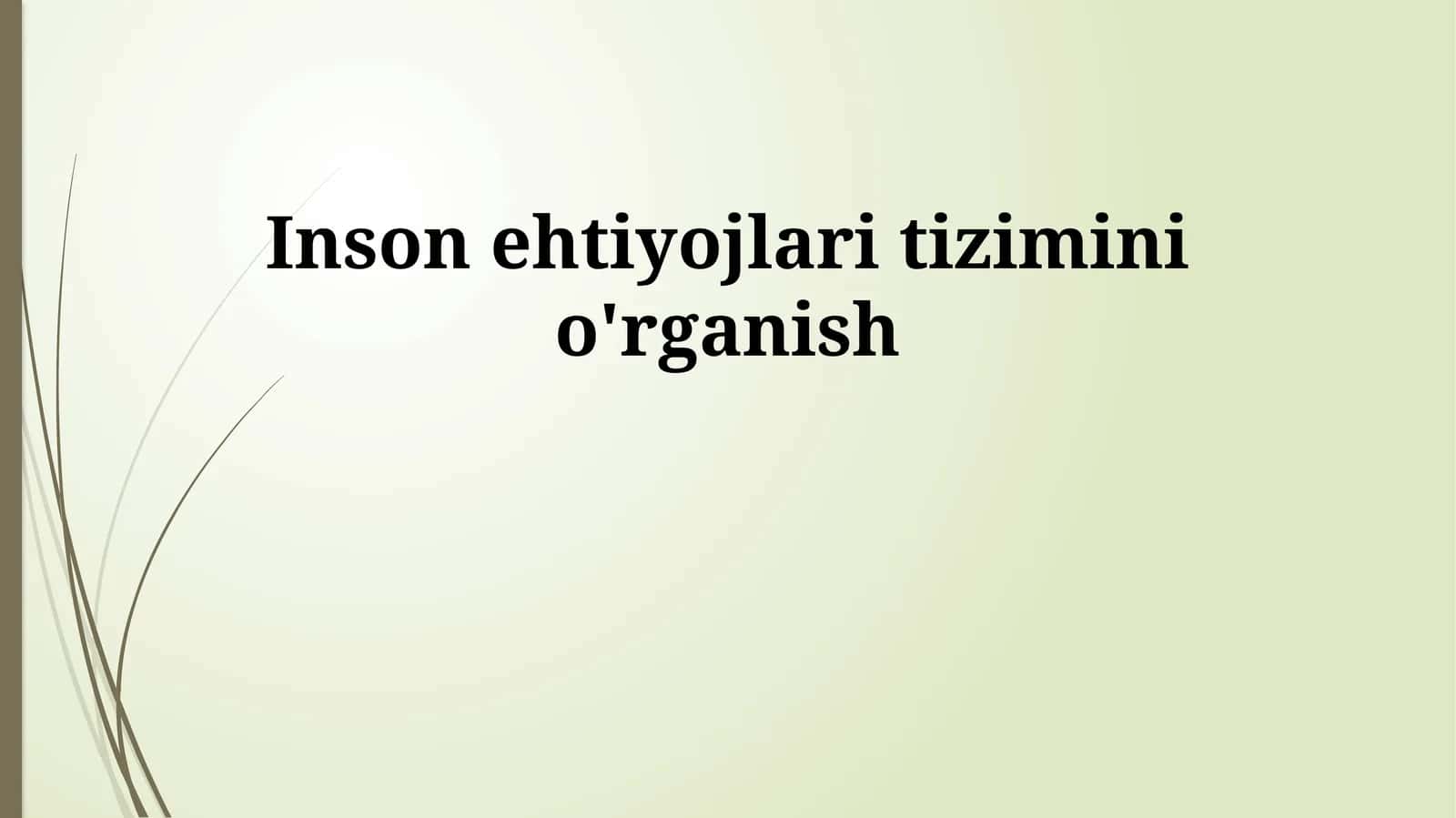 Inson ehtiyojlari tizimini o'rganish 1