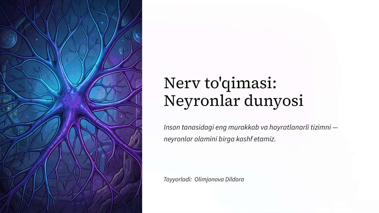 Nerv to'qimasi: Neyronlar dunyosi 1