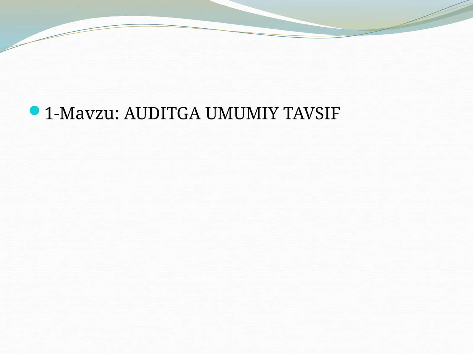 AUDITGA UMUMIY TAVSIF 1