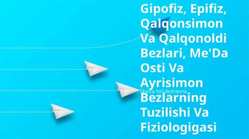 Gipofiz, Epifiz, Qalqonsimon Va Qalqonoldi Bezlari, Me'Da Osti Va Ayrisimon Bezlarning Tuzilishi Va Fiziologigasi 1