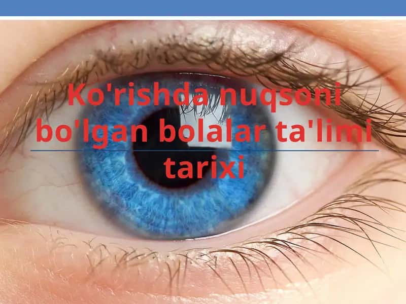 Ko'rishda nuqsoni bo'lgan bolalar ta'limi tarixi 1