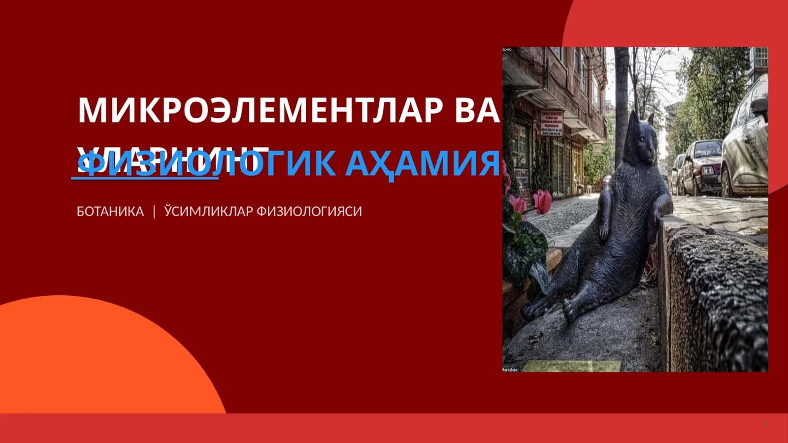 МИКРОЭЛЕМЕНТЛАР ВА УЛАРНИНГ ФИЗИОЛОГИК АҲАМИЯТИ 1