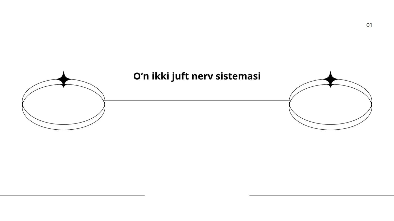 Oʻn ikki juft nerv sistemasi 1
