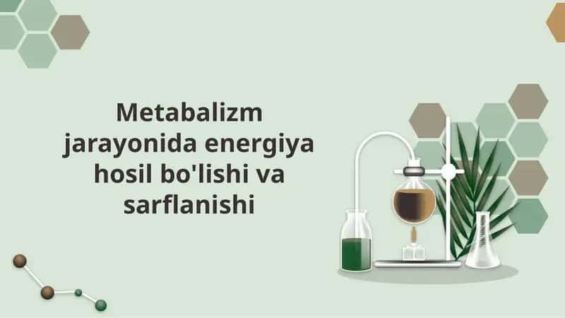Metabalizm jarayonida energiya hosil bo'lishi va sarflanishi 1