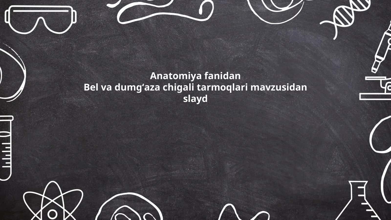 Bel va dumgʻaza chigali tarmoqlari 1