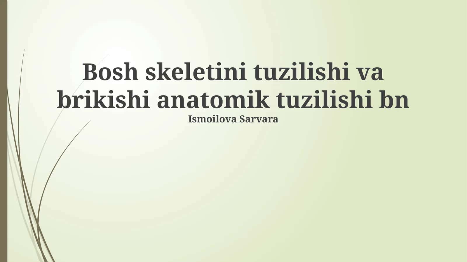 Bosh skeletini tuzilishi va brikishi anatomik tuzilishi bn 1