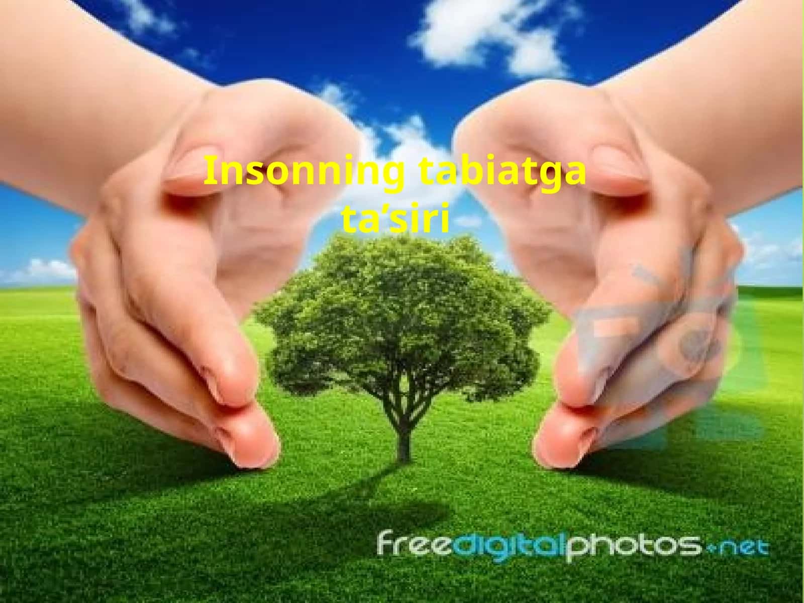 Insonning tabiatgata’siri 1