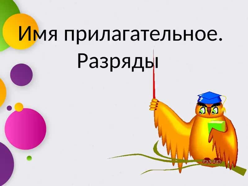 Имя прилагательное. Разряды 1