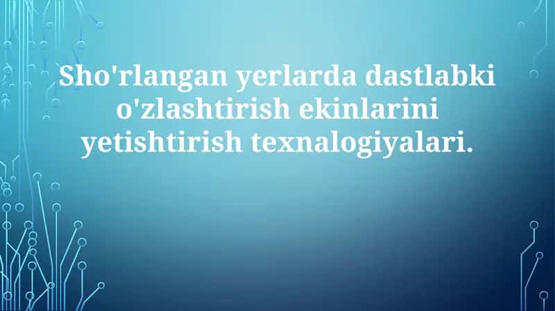 Sho'rlangan yerlardagi dastlabki o'zlashtirishekinlarini yetishtirish texnologiyalari 1