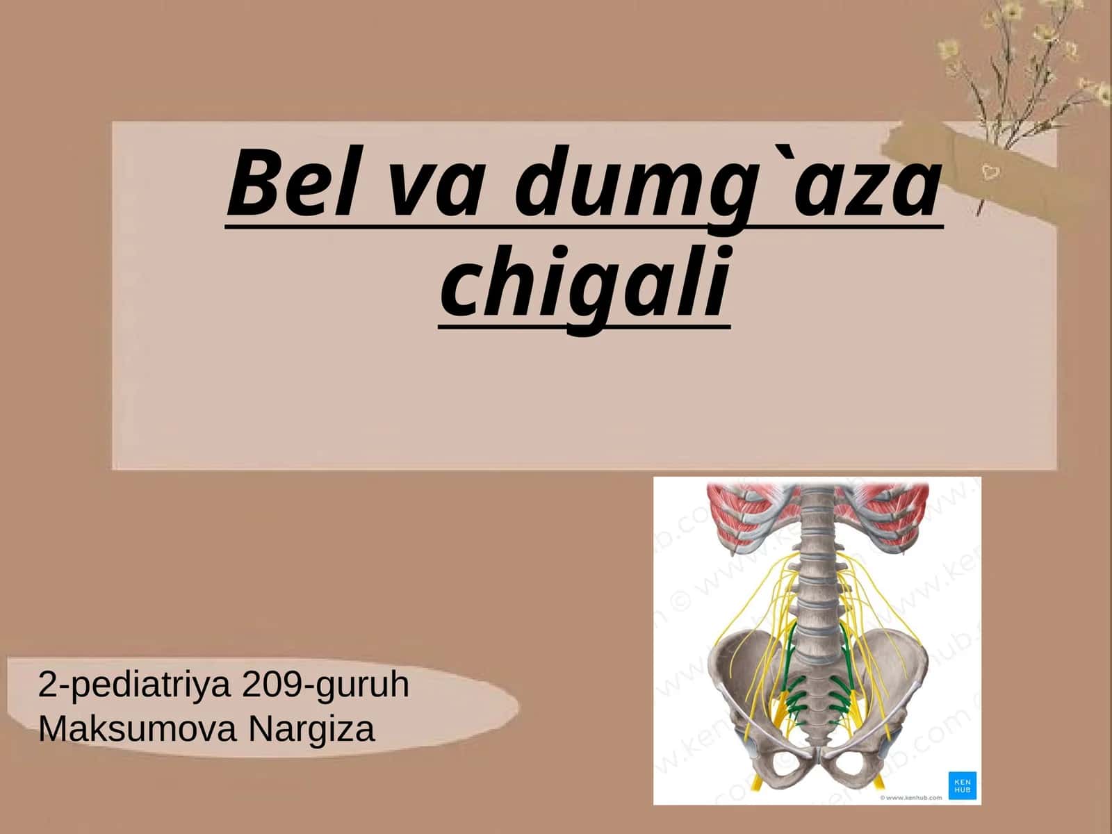 Bel va dumg`aza chigali 1