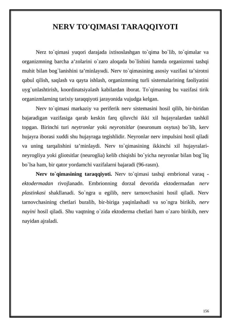 Nerv to`qimasi taraqqiyoti 1