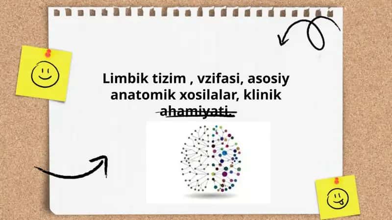 Limbik tizim 1