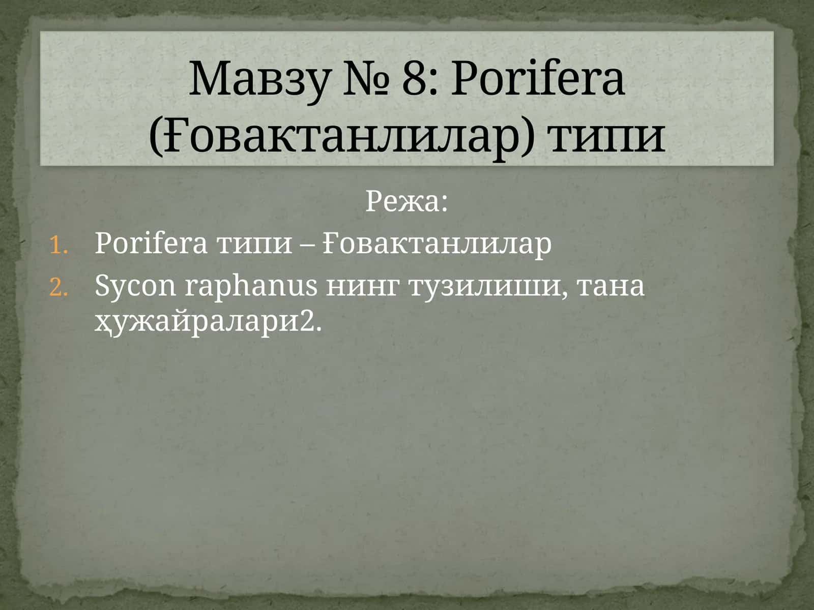 Porifera типи – Ғовактанлилар 1