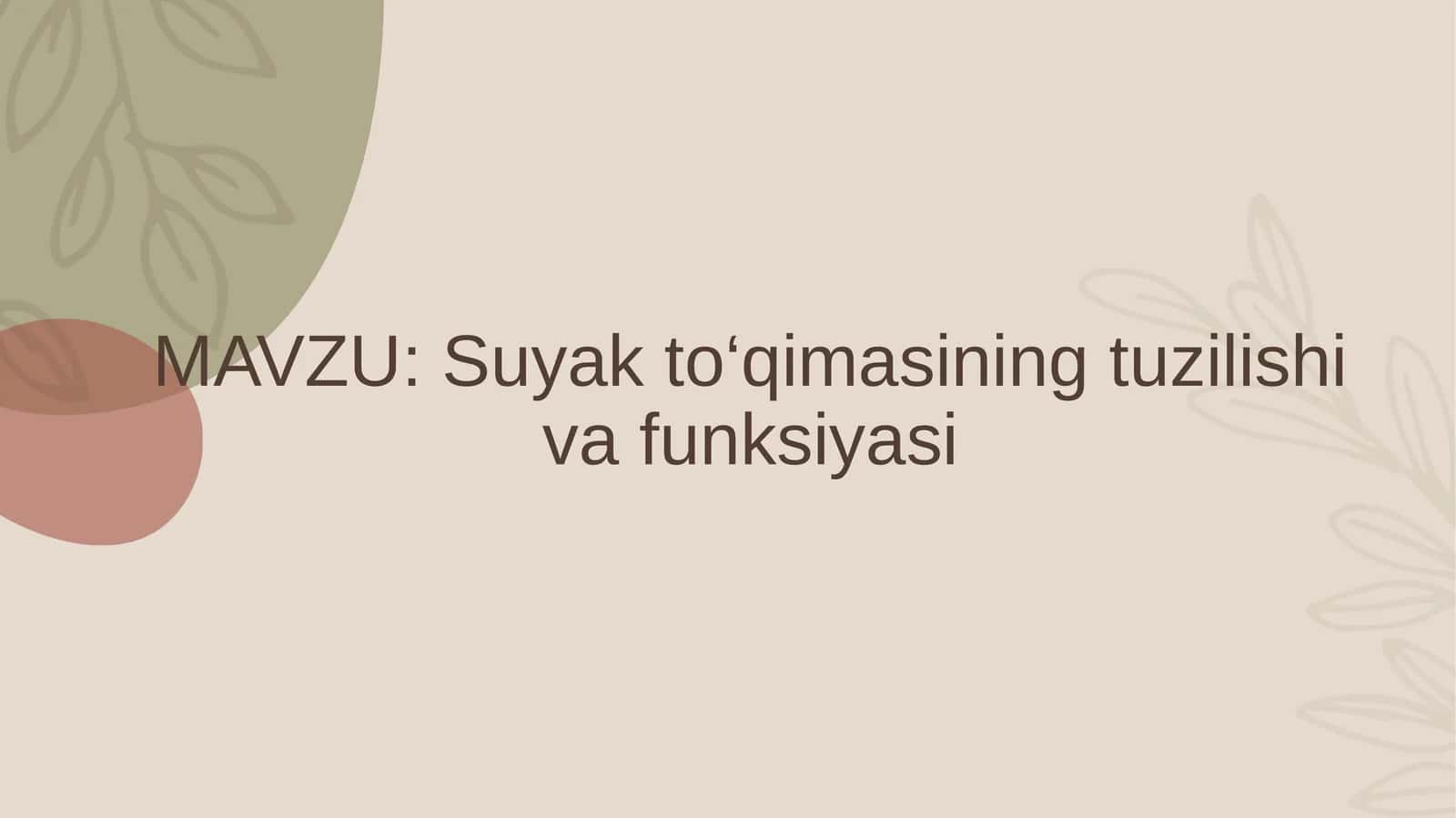 Suyak to‘qimasining tuzilishi va funksiyasi 1