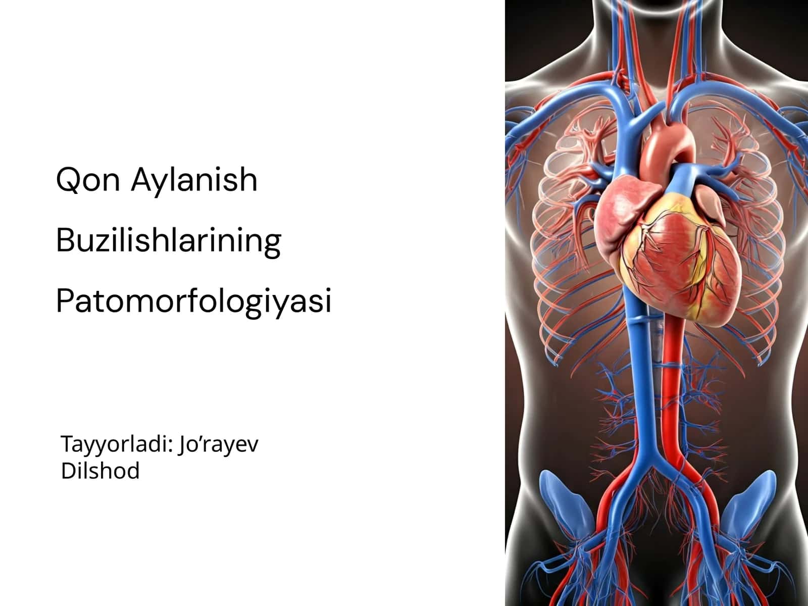 Qon Aylanish Buzilishlarining Patomorfologiyasi 1