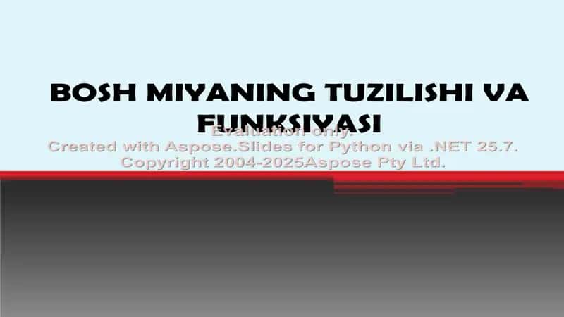 Bosh miyaning tuzilishi va funksiyasi 1