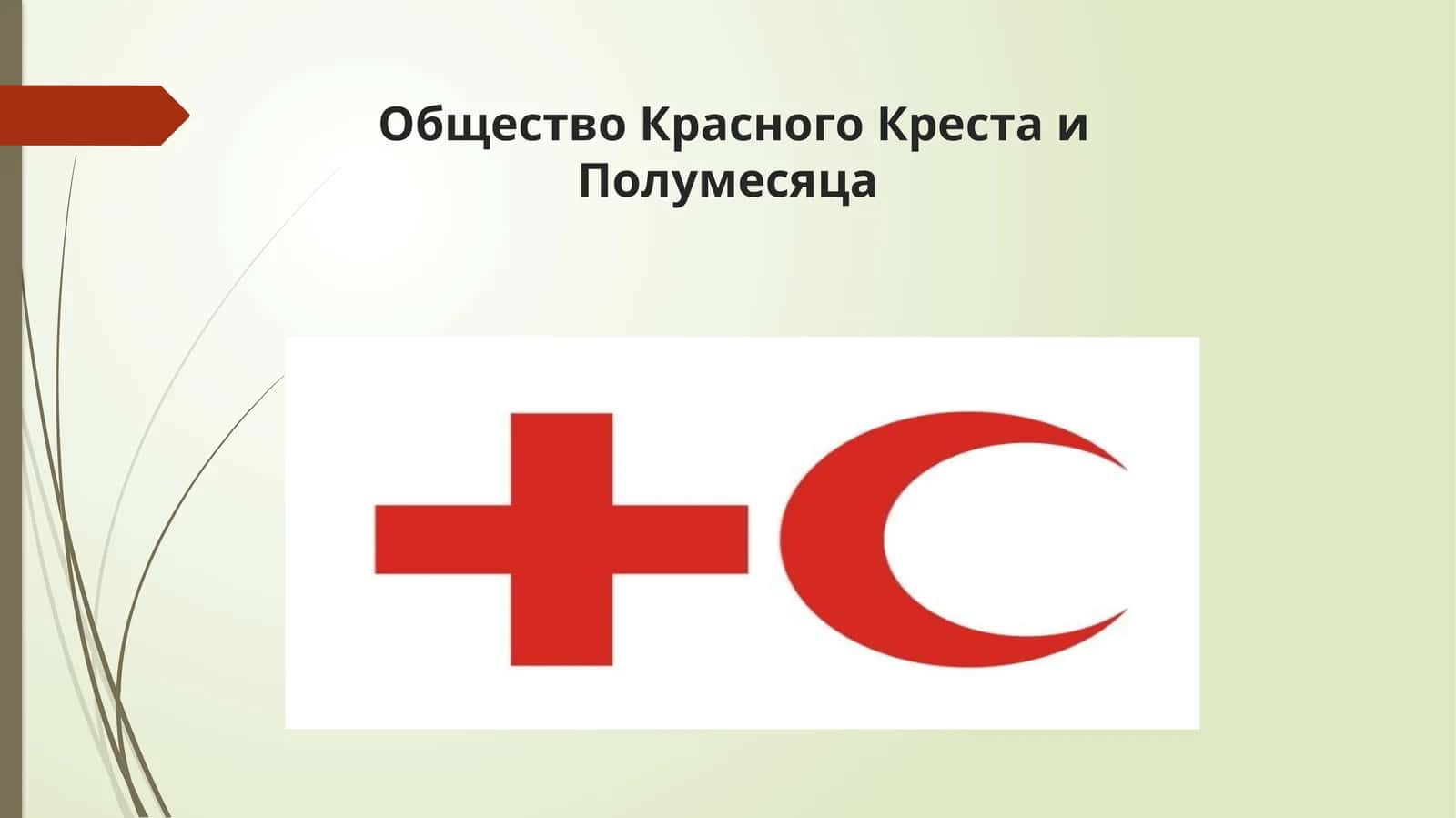 Общество Красного Креста и Полумесяца 1